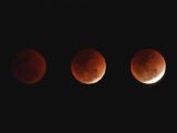 three blood moons