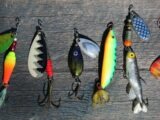 black and yellow fish wall decor