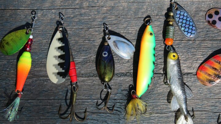 How to Fish z milionem graczy w 48 godzin. Za sukcesem stoi wydawca od PEAK