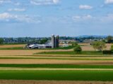 a farm with a grain silo in the distance