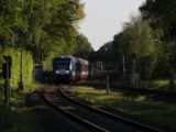 a train traveling down train tracks next to a forest